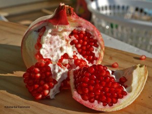 Pomegranate Wikimedia Commons 2