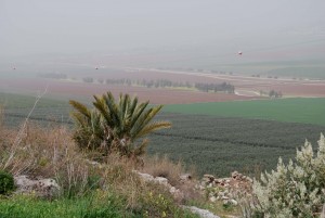 The Jezreel Valley floor, not far from the likely site of Naboth’s vineyard as seen on a hazy spring day from from Tel Jezreel. Photo: Miriam Feinberg Vamosh
