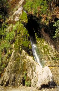 David's Waterfall, En Gedi (wwwlgoisrael.com)