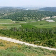Valley of Elah